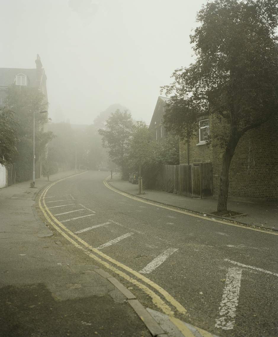 Foggy Morning 1