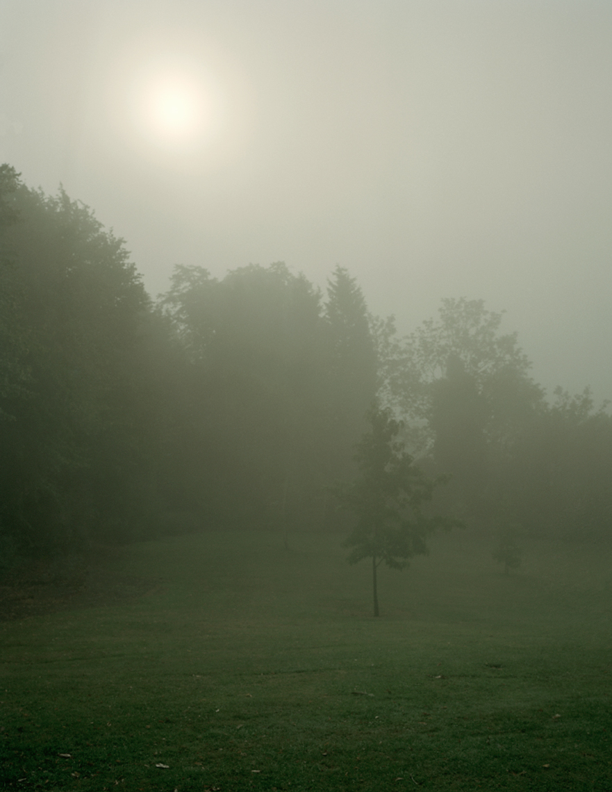 Foggy Morning 3